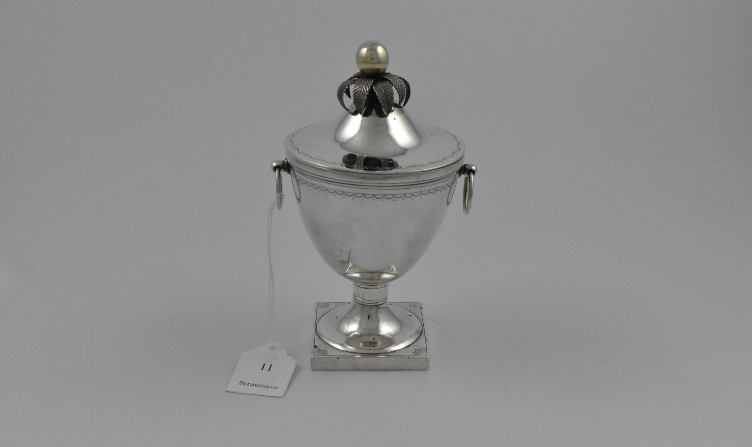 Lotter, Gerhardus - Image 4